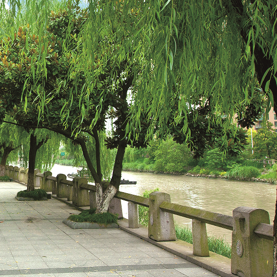 河道道路景观工程